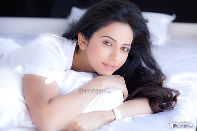 Rakul Preet Picture   HD Gallery Page