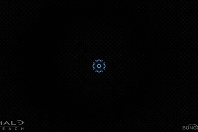 Bungie's Weekly Updates