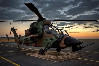 SNAFU!: Australian Tiger. Wallpapers Worthy.