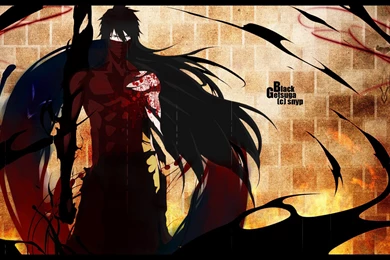 Bleach Getsuga Wallpapers » WallDevil   Best Free HD Desktop And ...