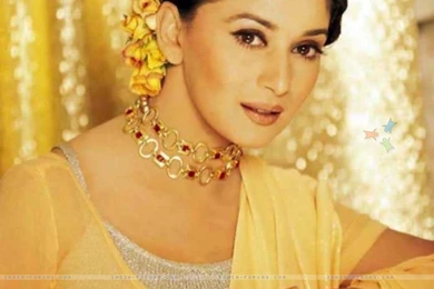 Meenakshi Sesadri Madhuri Dixit Picarena Image Match