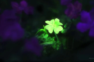 Lucky Charm Wallpapers   Wallpapers Cave