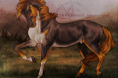 Lucky Charm By Twilight Veil On DeviantArt