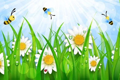 Busy Bee Daisies Wallpaper,sun Beams HD Wallpaper,bees HD ...