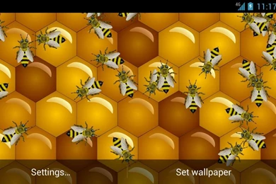 Bee Live Wallpapers   Android Apps On Google Play