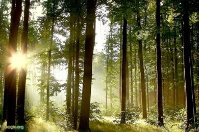 Wallpapers Camp Sport Freagle Free Camping Worldwide 1920x1200 ...