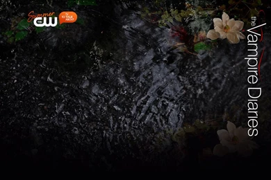 Vampire Diaries Wallpapers By Chenwei zachary On DeviantArt