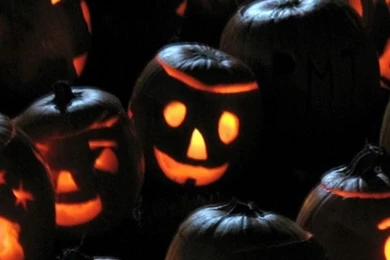 Download Wallpapers 540x960 Halloween, Pumpkins, Jacks Lanterns ...