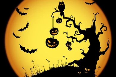 Android 960*854 960x854 Wallpapers, 960x854 Wallpapers & Pictures ...