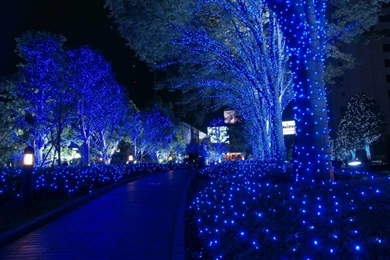 Blue Light Cool Blue Light – Technology Other HD Desktop Wallpapers