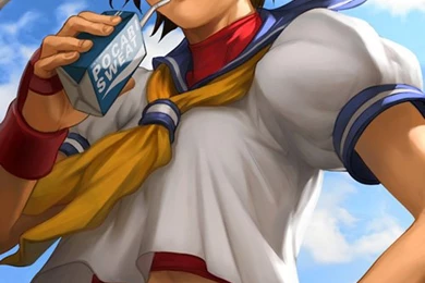 Street Fighter Characters: Beautiful Illustrations And Wallpapers ...