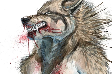 HD Wallpapers 1920x1080   Wet Rage By KatrineH On DeviantArt