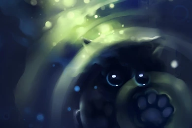 Cats DeviantART Artwork Apofiss Wallpapers