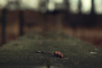 On Bench wallpaper 1920x1080 By DesireArtz On DeviantArt