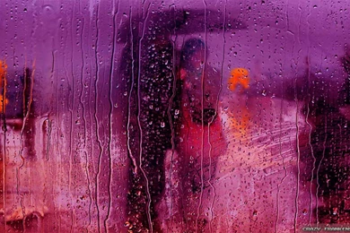 Love Rain Wallpapers   Crazy Frankenstein