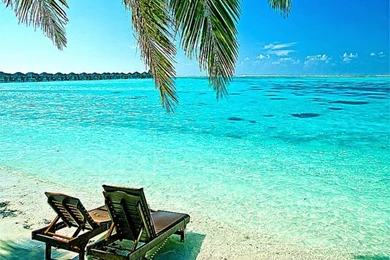 Summer Wallpapers Scenes