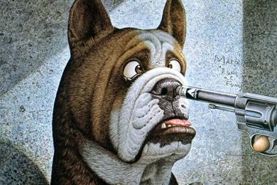 Funny Animal Wallpapers   Page 2   Crazy Frankenstein