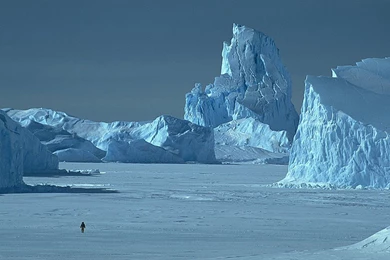 Landscape Wallpapers   Crazy Frankenstein