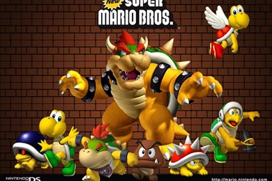 Dan Dare.org   New Super Mario Bros. Wallpapers 2 (800 X 600 Pixels)