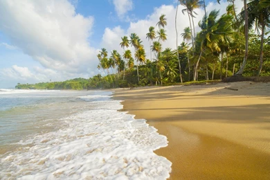 Trinidad Beaches Landscapes Wallpapers