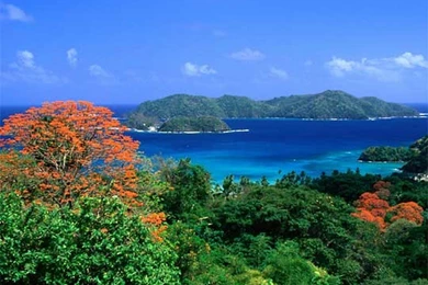 Trinidad And Tobago Isle Picture, Trinidad And Tobago Isle Photo ...