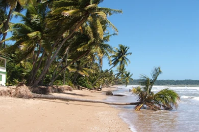 Mayaro Beach, Trinidad & Tobago 1920x1080p HD Beach Travel Wallpapers