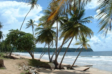 Mayaro Beach, Trinidad Computer Wallpapers, Desktop Backgrounds ...