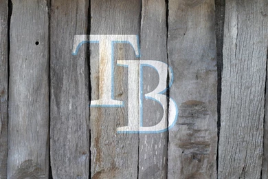 1920x1080 Baseball, Mlb, Sports, Tampa Bay Rays, Tampa Bay Rays ...