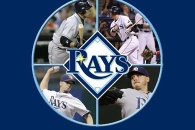Wallpapers Tampa Bay Rays Free Screensavers 1024x768
