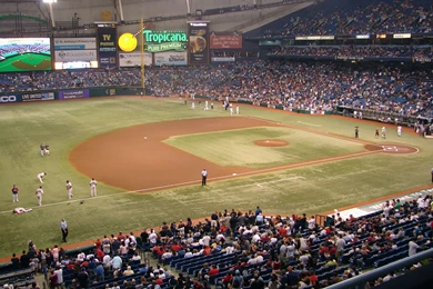 For MLB, The Other Woman Isn't Prettier Than The Rays   Florida ...