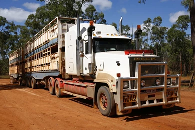 MACK Semi Tractor Transport Truck Wallpapers