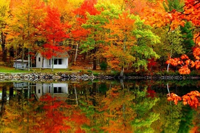 Autumn Beautiful Season Wallpapers   (