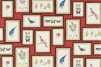 Sanderson wallpapers voyage of discovery