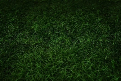 Grass Wallpapers HD For Android . Best High Resolution Desktop ...