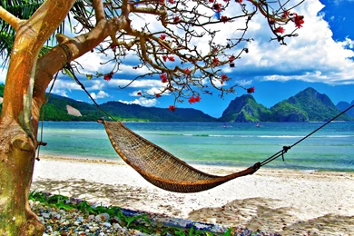 Tropical Beach Pictures Hammock Wallpapers HD Resolution   Kemecer.com