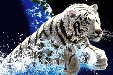 3D Tiger   Android Apps On Google Play