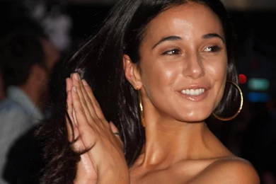 Emmanuelle Chriqui Hd Wallpapers