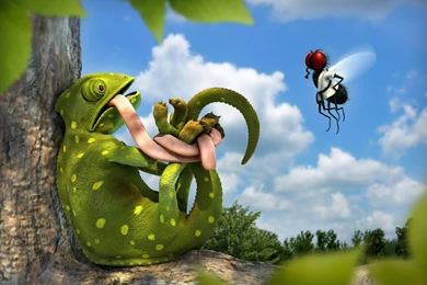 Wallpapers Humor Image