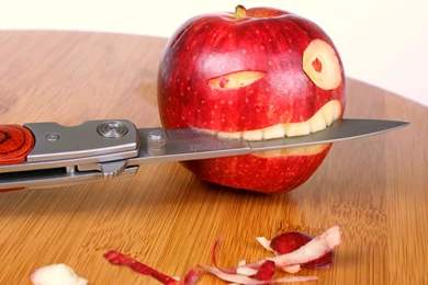 Wallpapers Humor Image