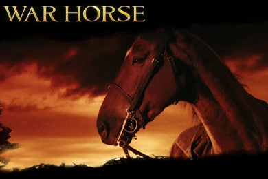 Search Results: 'War Horse'