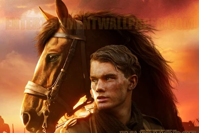 War Horse Wallpapers