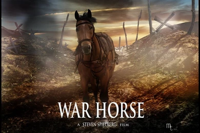 War Horse Favourites By MegaBlueWolf On DeviantArt