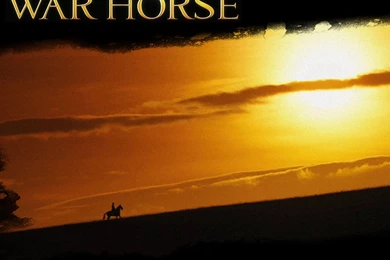 War Horse Wallpapers 1600x1200 Wallpapers, 1600x1200 Wallpapers ...