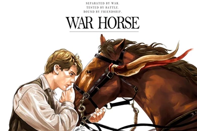 WAR HORSE By SantaFung On DeviantArt