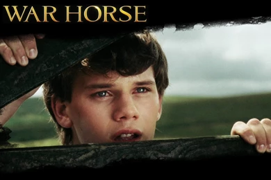 War Horse   War Horse The Movie Wallpapers (28219737)   Fanpop