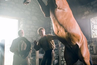 War Horse 234750 Gallery, Images, Posters, Wallpapers And Stills