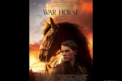 War Horse Movie Wallpapers