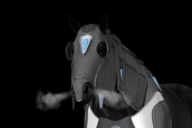 Warhorse Wallpapers By 7DaysOfRain On DeviantArt