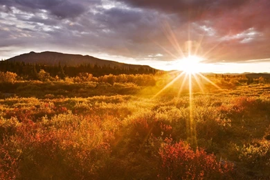 Montana 2016 Summer 4K Wallpapers