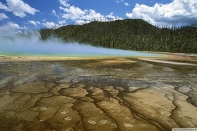 Download Tony Montana Scarfa Wallpapers 240x320